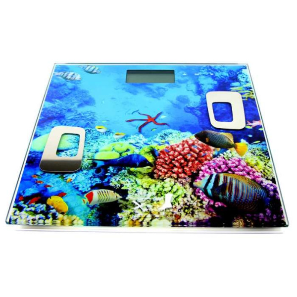 0DsfNoHNuw6vxushu_XQtwT